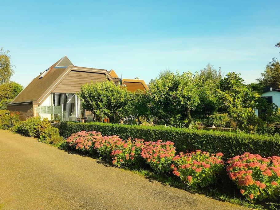 Apartamento Lovely House Till 6 P. Near Amsterdam, Sea Opmeer Exterior foto